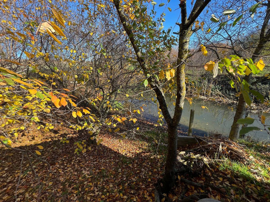 Продам дом, Демьяновка с, 0 км от города