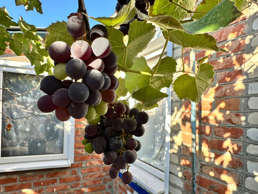 Продам дом, Ленина ул, 5, Краснооктябрьская ст-ца, 0 км от города