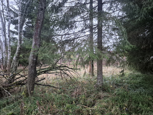 Продам участок 12 соток, Фермерское хоз., Восход тер. СНТ, 48, Марьино д, 0 км от города