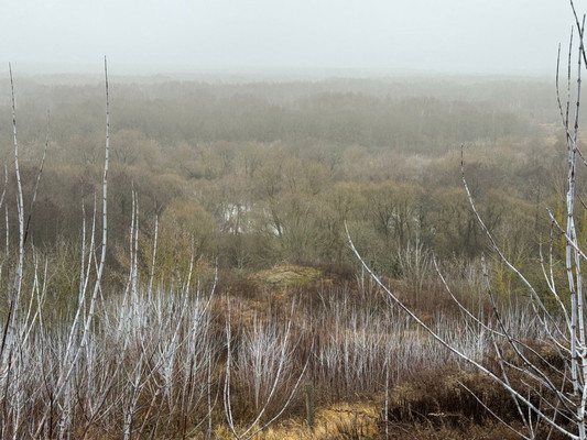 Продам участок 15 соток, ИЖС, Первомайская ул, 51а, Супонево с, 0 км от города