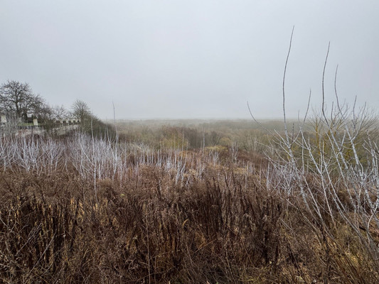 Продам участок 15 соток, ИЖС, Первомайская ул, 51а, Супонево с, 0 км от города