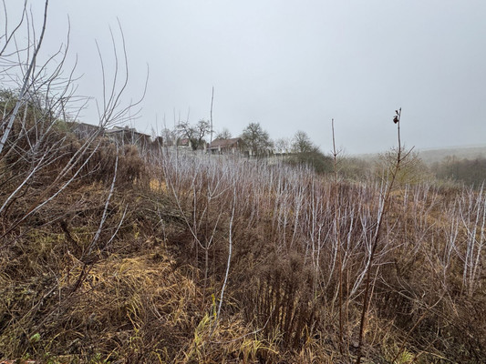 Продам участок 15 соток, ИЖС, Первомайская ул, 51а, Супонево с, 0 км от города