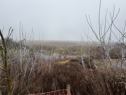 Продам участок 15 соток, ИЖС, Первомайская ул, 51а, Супонево с, 0 км от города