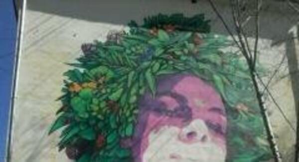 Сдам однокомнатную (1-комн.) квартиру, Академика Вавилова ул, 43, Красноярск г