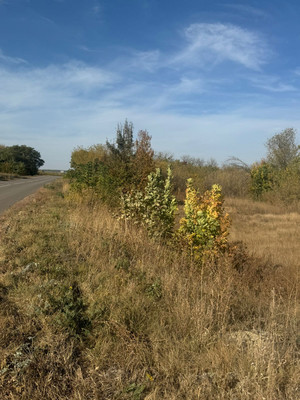 Продам землю для коммерческого использования 10,6 соток, Речная ул, Приволье с