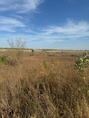 Продам землю для коммерческого использования 10,6 соток, Речная ул, Приволье с