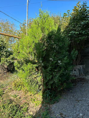 Продам дом, Восточная ул, Северская ст-ца, 0 км от города