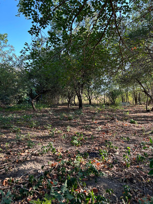 Продам дом, Восточная ул, Северская ст-ца, 0 км от города