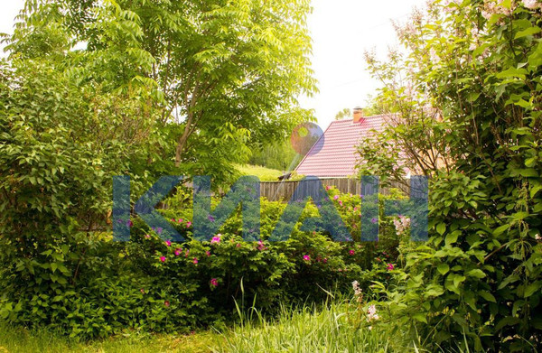 Продам дом, Центральная ул, 59, Раскаты д, 0 км от города