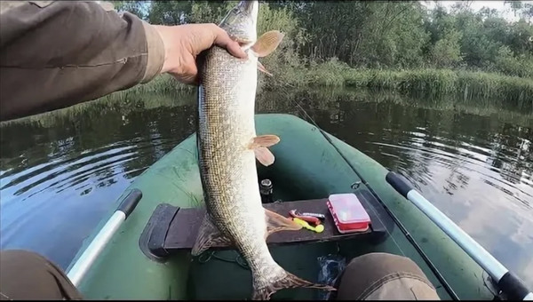 Продам участок 21,73 соток, ИЖС, Песчаная ул, Бурдаковка д, 0 км от города