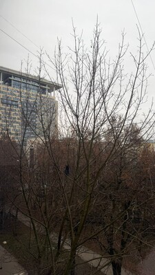 Продам трехкомнатную (3-комн.) квартиру, Тарусская ул, 8, Москва г