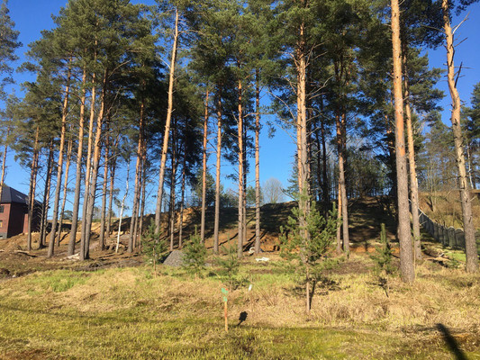 Продам участок 28 соток, ИЖС, Подгорная ул, Энколово д, 0 км от города