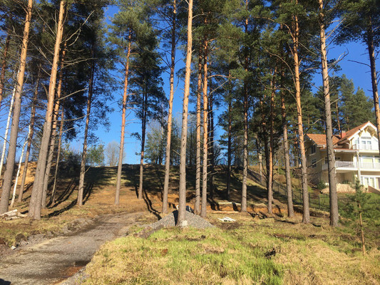 Продам участок 28 соток, ИЖС, Подгорная ул, Энколово д, 0 км от города