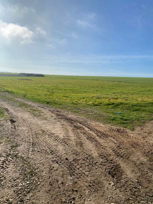 Продам участок 2,51 соток, Фермерское хоз., Мазанка с, 0 км от города