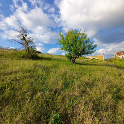 Продам участок 6 соток, Фермерское хоз., СНТ Мартьян тер. ТСН, Перевальное с, 0 км от города