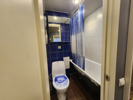 Продам двухкомнатную (2-комн.) квартиру, Новаторов б-р, 79к1, Санкт-Петербург г