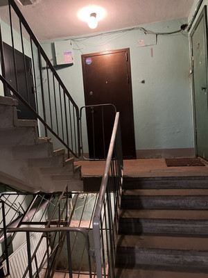 Продам двухкомнатную (2-комн.) квартиру, Дыбенко ул, 22Кк5, Санкт-Петербург г