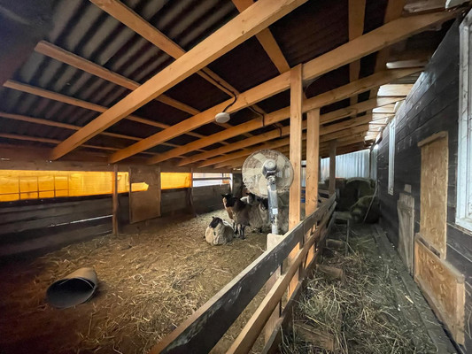 Продам дом, 60, Дмитровское с, 0 км от города