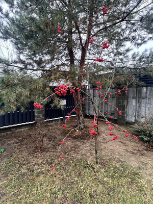 Продам дом, Новая ул, Островцы д, 0 км от города