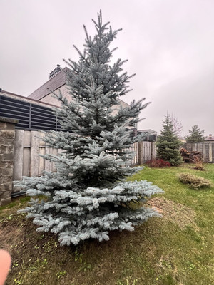 Продам дом, Новая ул, Островцы д, 0 км от города