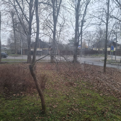 Продам двухкомнатную (2-комн.) квартиру, Летний пер, 15, Архангельское п