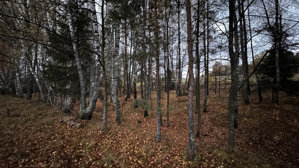 Продам дом, Пестово п, 0 км от города