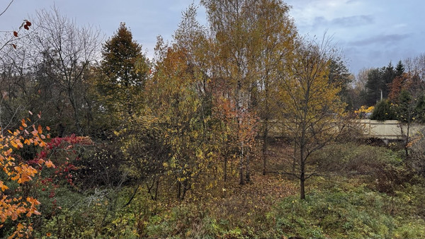 Продам дом, Пестово п, 0 км от города