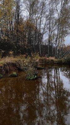 Продам дом, Пестово п, 0 км от города