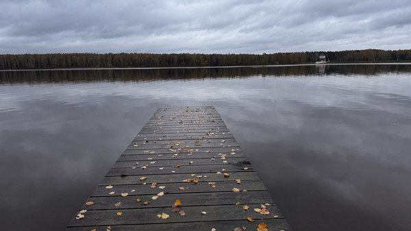 Продам участок 19 соток, ИЖС, Пестово п, 0 км от города