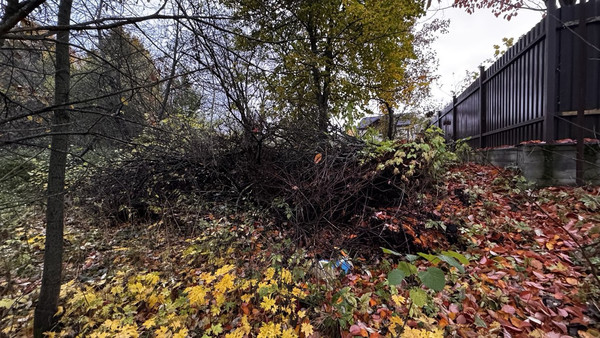 Продам участок 19 соток, ИЖС, Пестово п, 0 км от города