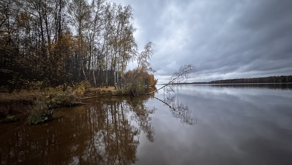 Продам участок 19 соток, ИЖС, Пестово п, 0 км от города