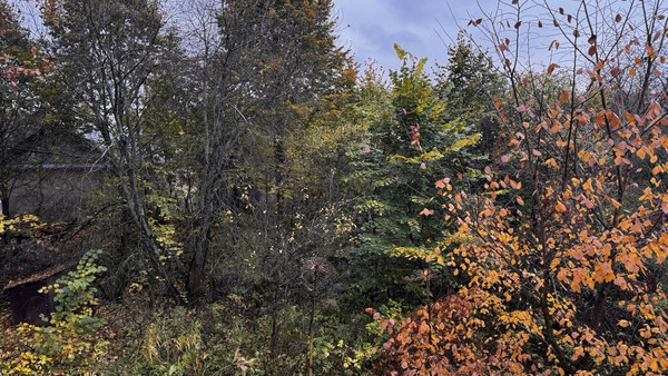 Продам участок 19 соток, ИЖС, Пестово п, 0 км от города