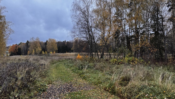 Продам участок 19 соток, ИЖС, Пестово п, 0 км от города