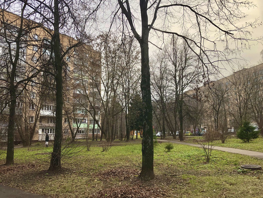 Продам однокомнатную (1-комн.) квартиру, Стефановского ул, 4, Щелково г