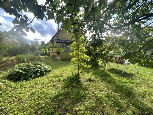 Продам дачу, ЛОС тер. СНТ, Массив Мшинская тер, 0 км от города