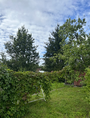 Продам дачу, ЛОС тер. СНТ, Массив Мшинская тер, 0 км от города