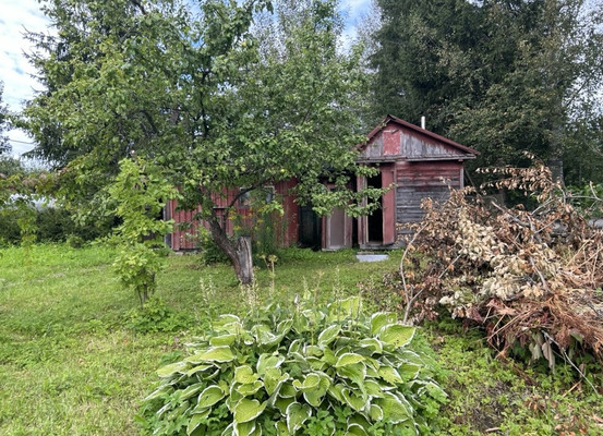 Продам дачу, ЛОС тер. СНТ, Массив Мшинская тер, 0 км от города