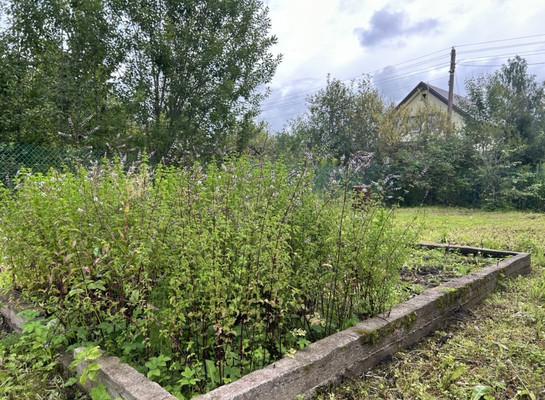 Продам дачу, ЛОС тер. СНТ, Массив Мшинская тер, 0 км от города