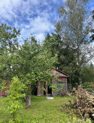 Продам дачу, ЛОС тер. СНТ, Массив Мшинская тер, 0 км от города