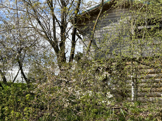 Продам дом, Заводская ул, 24а, Лукаши п, 0 км от города