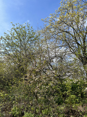 Продам дом, Заводская ул, 24а, Лукаши п, 0 км от города