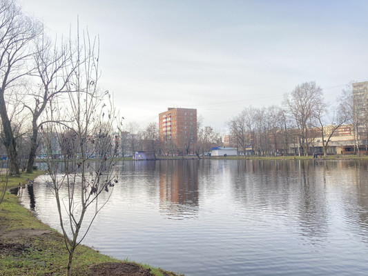 Продам однокомнатную (1-комн.) квартиру, Коминтерна ул, 17, Раменское г