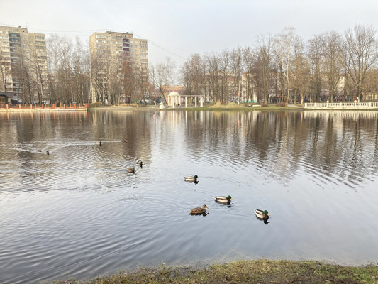 Продам однокомнатную (1-комн.) квартиру, Коминтерна ул, 17, Раменское г