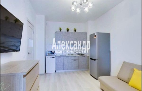 Сдам однокомнатную (1-комн.) квартиру, Кузнецовская ул, 58к3, Санкт-Петербург г