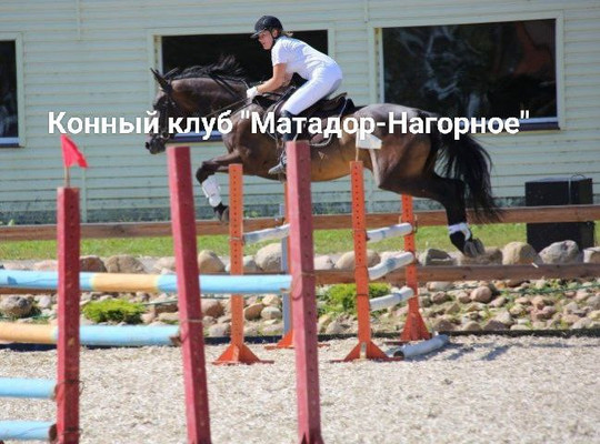 Продам однокомнатную (1-комн.) квартиру, Полковника Романова ул, 5, Нагорное п