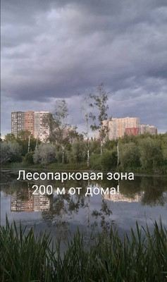 Продам однокомнатную (1-комн.) квартиру, Полковника Романова ул, 5, Нагорное п