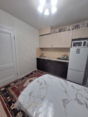 Продам однокомнатную (1-комн.) квартиру, 3, Селекционной Станции сельский п