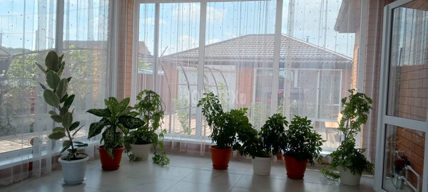 Продам дом, Октябрьская ул, Азовская ст-ца, 0 км от города