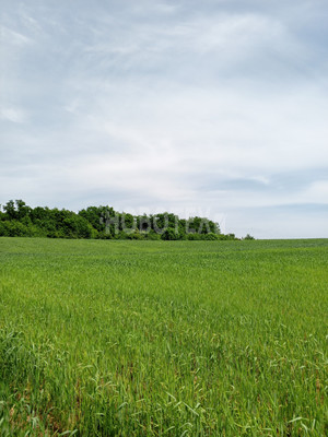 Продам участок 10 соток, ИЖС, Крестьянская ул, Азовская ст-ца, 0 км от города