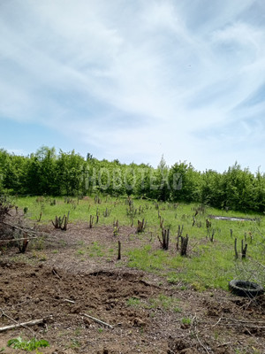 Продам участок 10 соток, ИЖС, Крестьянская ул, Азовская ст-ца, 0 км от города